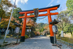 Hiyoshi Taisha Torii Gate in Shiga, Japan