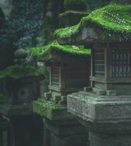 Shinto shrine toro in the forest