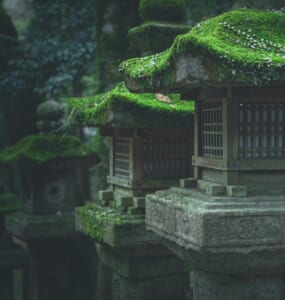 Shinto shrine toro in the forest