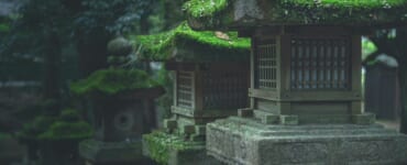 Shinto shrine toro in the forest