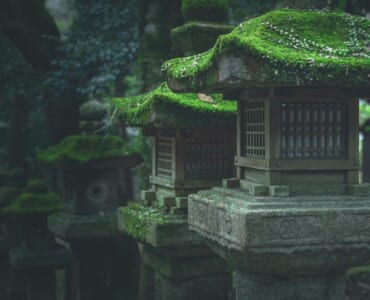 Shinto shrine toro in the forest