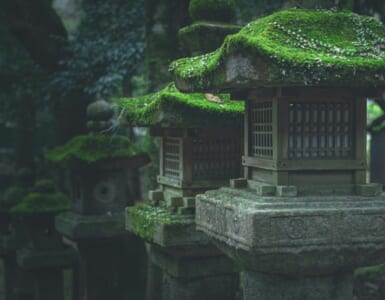 Shinto shrine toro in the forest