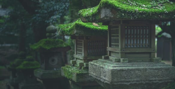 Shinto shrine toro in the forest