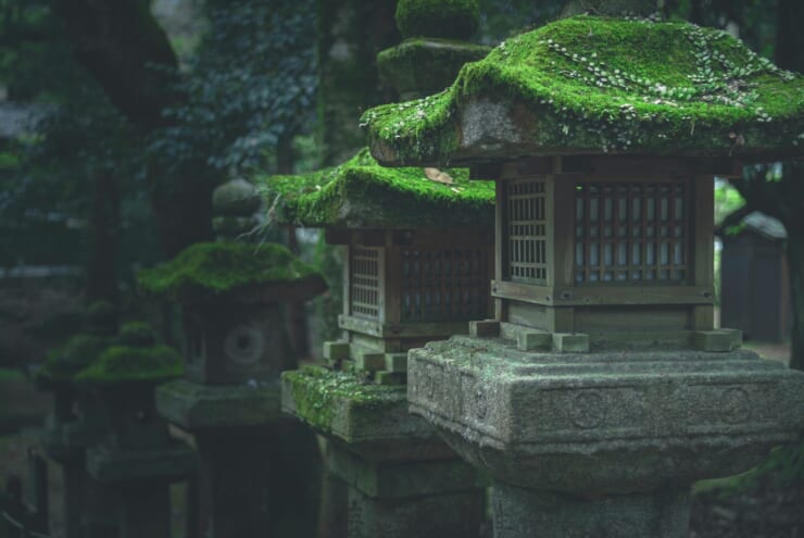 Shinto shrine toro in the forest