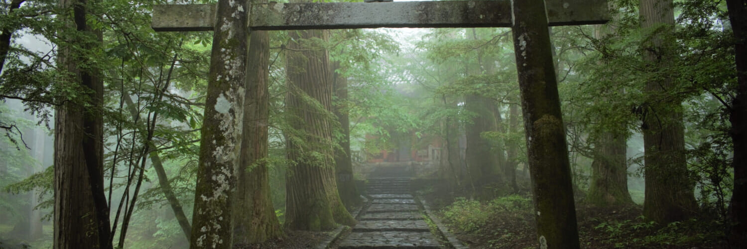 Shinto shrine gate in Nikko, Japan