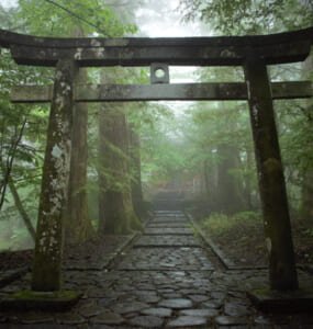 Shinto shrine gate in Nikko, Japan