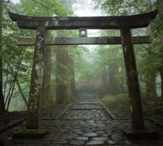 Shinto shrine gate in Nikko, Japan