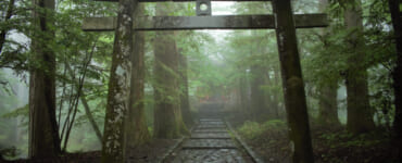 Shinto shrine gate in Nikko, Japan