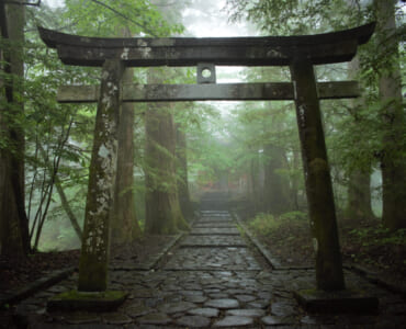 Shinto shrine gate in Nikko, Japan