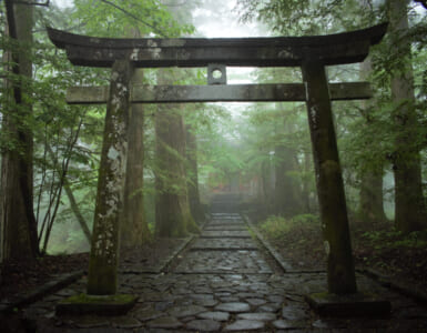 Shinto shrine gate in Nikko, Japan