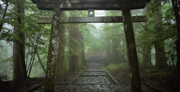 Shinto shrine gate in Nikko, Japan